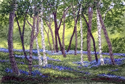 Bluebell Wood